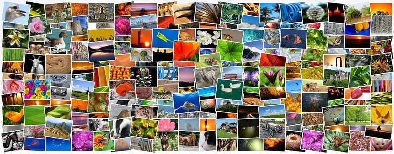 Photo Collage